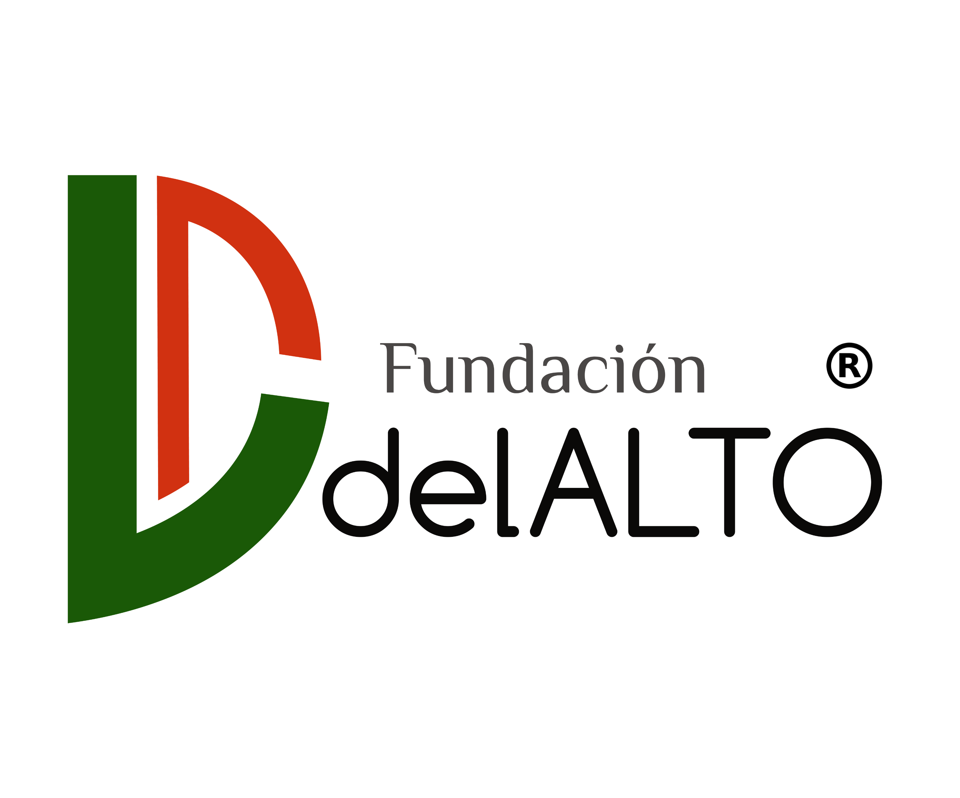Fundación delALTO